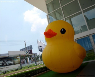Illustration for article titled In China, There Are Too Many Giant Rubber Duck Rip-Offs